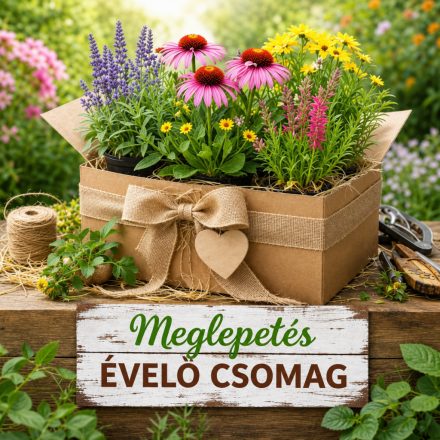 Meglepetés csomag